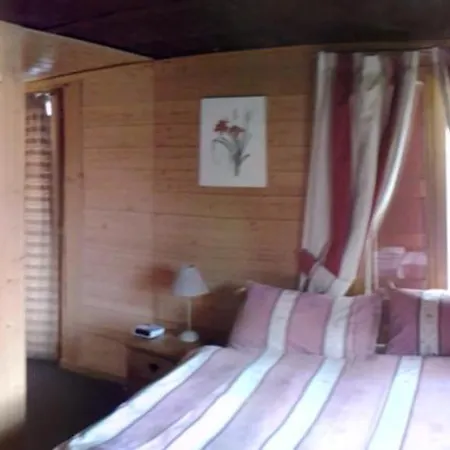 Suisse Oda ve Kahvaltı Morgins